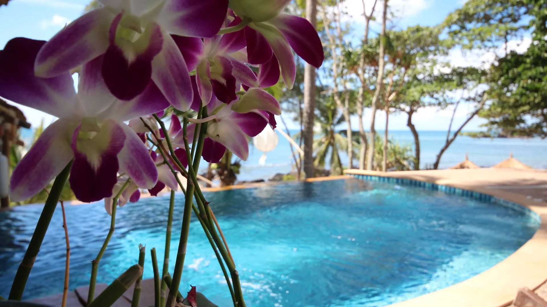 Coco Cape Lanta Resort - Sha Extra Plus Koh Lanta 3*,  Thailand
